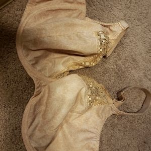 TWO 36GG elomi kim bras